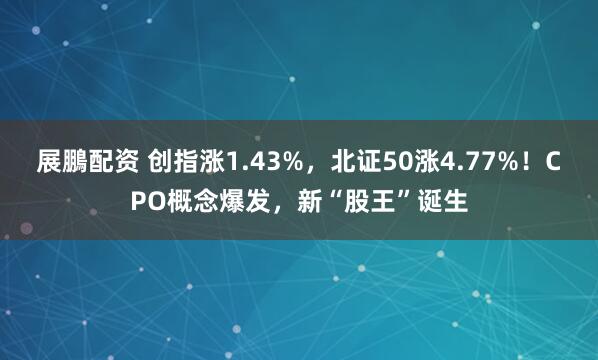 展鵬配资 创指涨1.43%，北证50涨4.77%！CPO概念爆发，新“股王”诞生