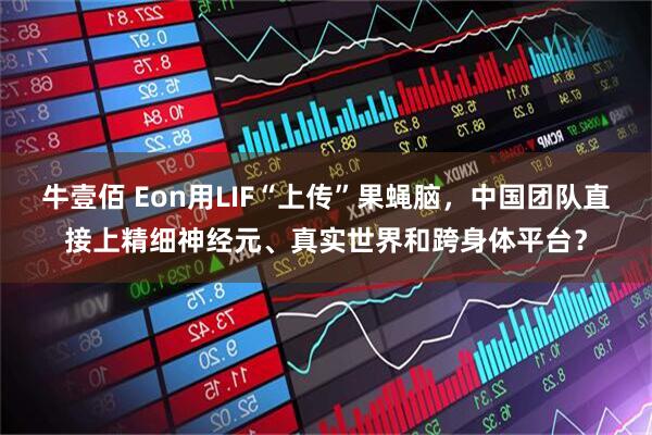 牛壹佰 Eon用LIF“上传”果蝇脑，中国团队直接上精细神经元、真实世界和跨身体平台？